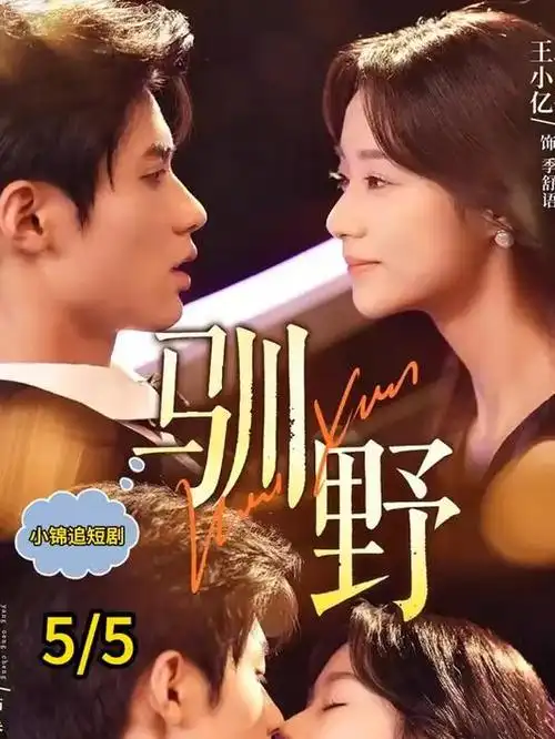星辰不眠 都市情感剧全集